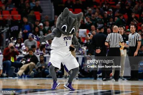 Tcu Mascot Photos and Premium High Res Pictures - Getty Images