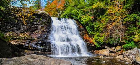 Our four favorite fall hikes at Deep Creek Lake gives you the scoop on the best trails for ...