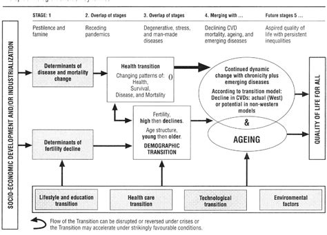 Figure 9 from The epidemiologic transition theory revisited thirty years later. | Semantic Scholar