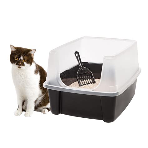 Best Cat Litter Box for Odor Control and Easy Cleaning | Tail of Cats