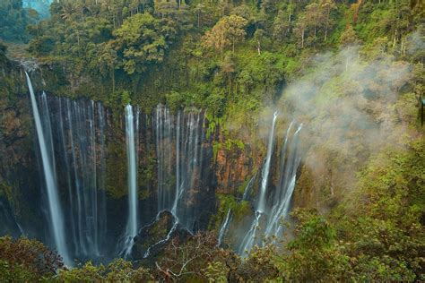 nature, Landscape, Waterfall, Jungles, Java, Indonesia, Forest, Trees ...