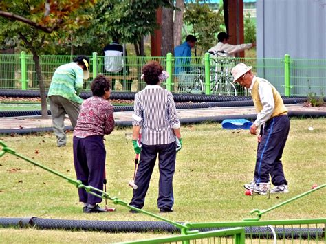 Croquet Game Variations - THE BILLIARDS GUY