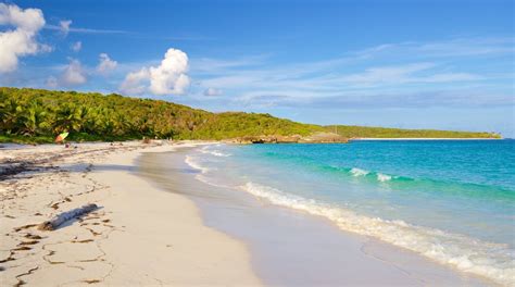 Vieques Island Travel Guide: Best of Vieques Island, Vieques Travel ...