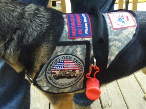 Service Dog Vests by Mary's Stitchery & Crafts - home | Service dog vests, Service dogs, Service ...