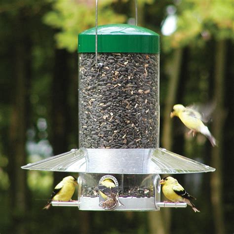 Shop Birds Choice Steel Squirrel-Resistant 1.2-Gallon Tube Bird Feeder at Lowes.com