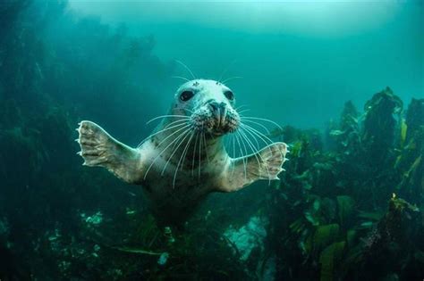 9 Outstanding Nature Photos Prove Britain Is Great