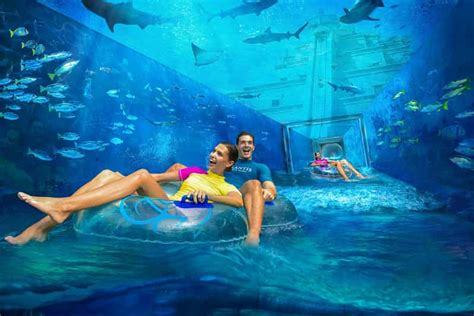 Dubai: Atlantis Aquaventure & Lost Chambers Aquarium Combo | GetYourGuide