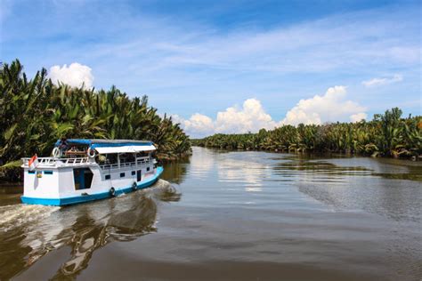 Tanjung Puting National Park » An Incredible Trekking Experience with Wild Orangutans - Love and ...