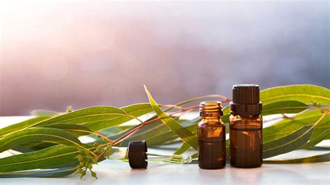 9 Amazing Eucalyptus Oil Benefits You Need to Know