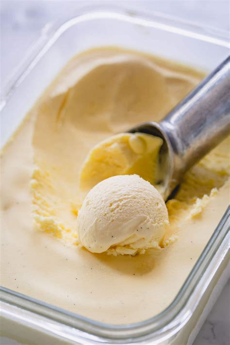 Homemade Vanilla Ice Cream Keto at Reed Villanveva blog