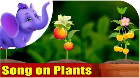 Song on Plants - Five Main Parts of a Plant in Ultra HD (4K) - YouTube