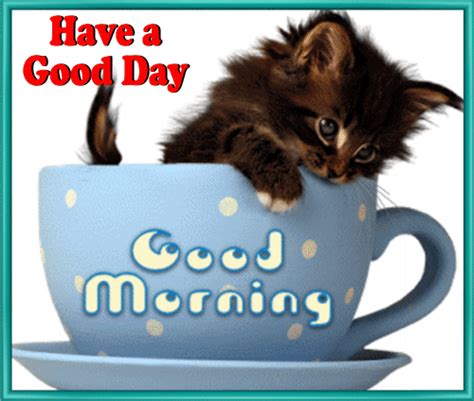 Kitty Says Good Morning. Free Good Morning eCards, Greeting Cards | 123 Greetings