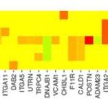 Heatmap presenting the relationship between genes and selected GO MF... | Download Scientific ...