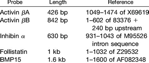 Northern Blot Probes | Download Table