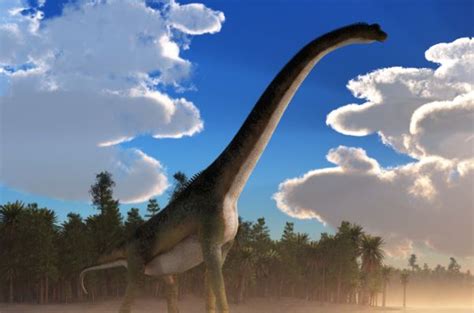 33+ Which Dinosaur Has The Longest Neck - GurkimatAriel