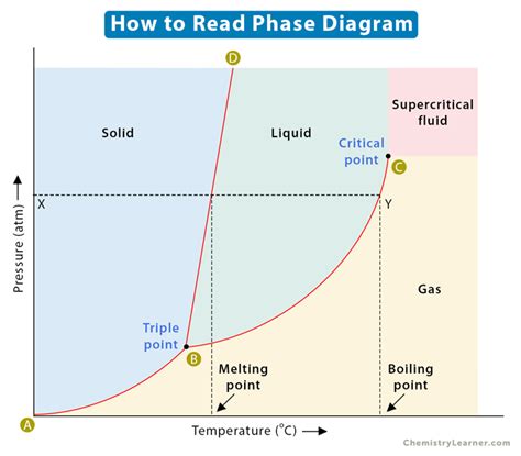 Phase Diagram: Definition, Explanation, and Diagram