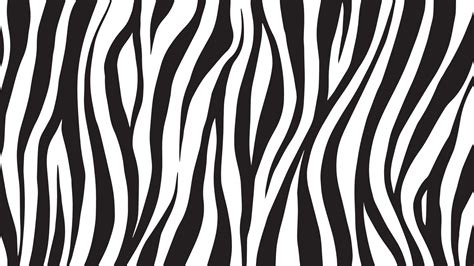 Zebra Print Backgrounds Vector Art, Icons, and Graphics for Free Download