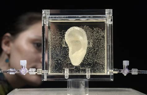 Vincent van Gogh ear replica made from relative's DNA goes on display ...