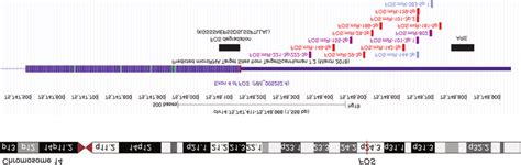 The Fos proto-oncogene, AP-1 transcription factor subunit (FOS) gene ...