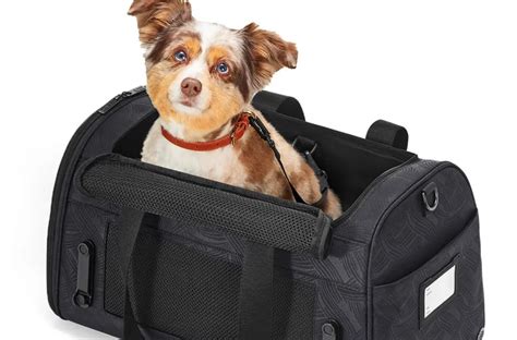 Pet Carrier from AWAY: first class for your dog