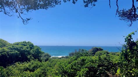 uMhlanga Nature Reserve Archives - uMhlanga UIP