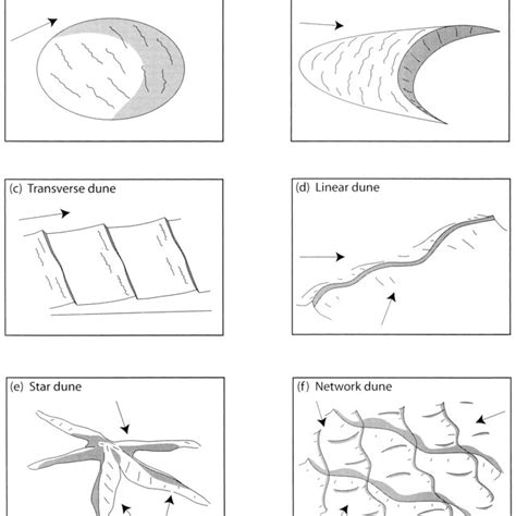 Downwind migration of barchan dunes. (a) Barchan dune field appeared ...