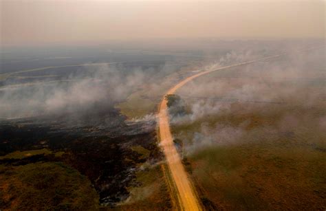 Brazil Is on Fire. But Ricardo Salles Is Cutting Protections | Time