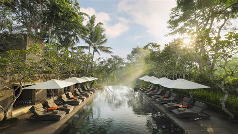 Infinity Forest Pool | Maya Ubud Resort & Spa