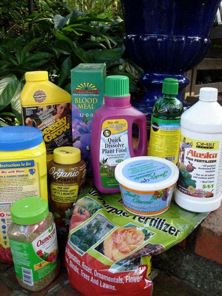 What Is in Fertilizer? | Fertilizer Ingredients & Formulas – Bonnie Plants