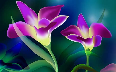 Beautiful Purple and Yellow Flower Wallpaper – Wallsev.com – Download Free HD Wallpapers