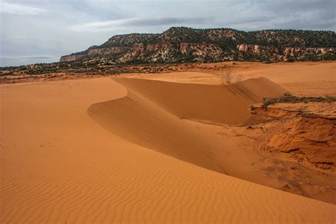 Coral Pink Sand Dunes State Reserve, an Utah State Reserve