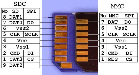 Correre Sorpreso per cento micro sd card pinout Definitivo tubo Tumore maligno