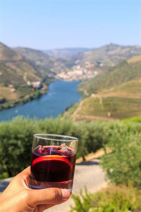 Douro Valley - Wine Travel Guide | NelsonCarvalheiro.com | Wine travel, Wine, Douro valley