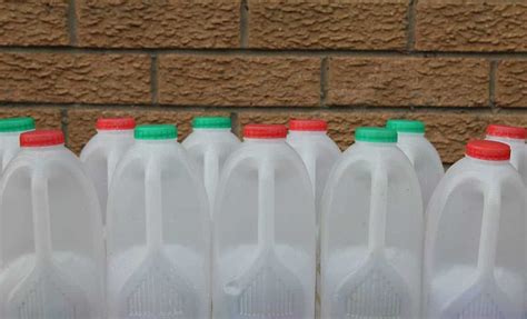 15 Creative Ways to Reuse Plastic Milk Jugs - Turning the Clock Back