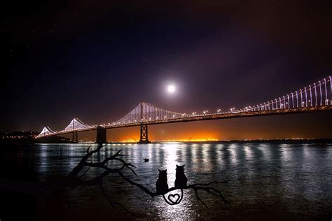 San Francisco Oakland Bay Bridge · Free photo on Pixabay