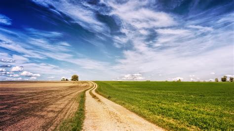 Fields Road Landscape - Free photo on Pixabay - Pixabay