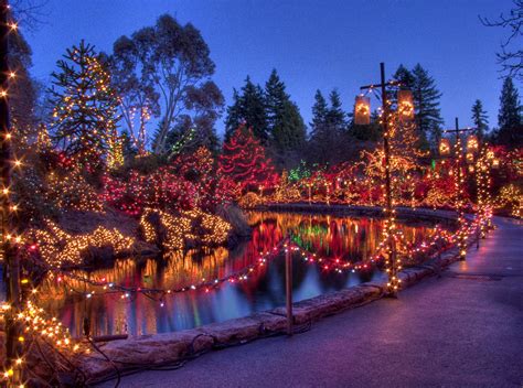 Festival of Lights at VanDusen Botanical Gardens - My VanCity