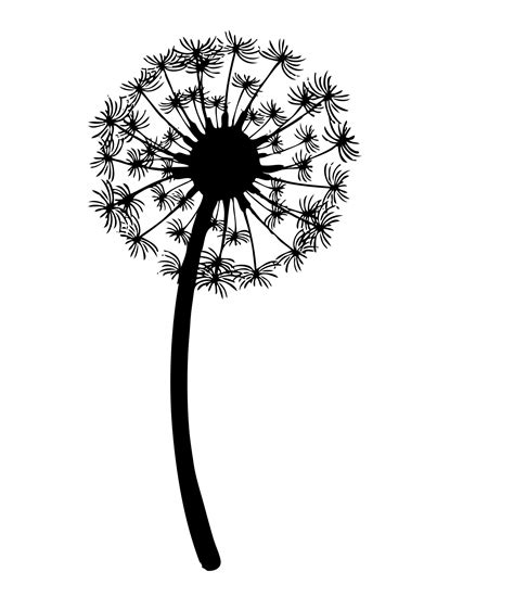 Image result for dandelion black and white drawing | Dandelion tattoo, Dandelion tattoo design ...