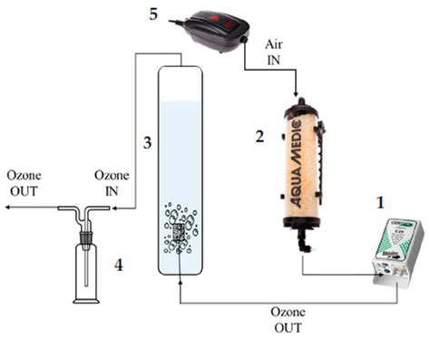 Ozonation Processes for Color Removal from Urban and Leather Tanning Wastewater