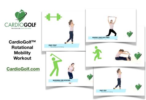 13 Rotational Exercises to Maximize Golf Swing Power - CardioGolf