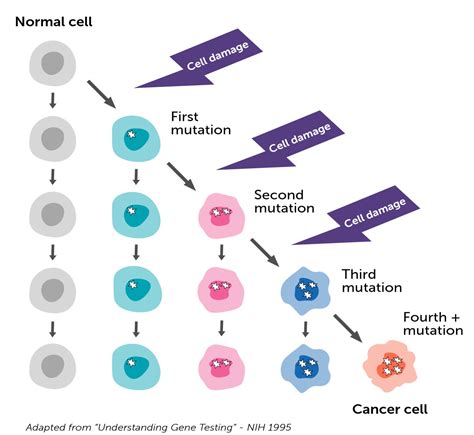 Genes and cancer