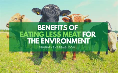 How Does Eating Less Meat Help The Environment