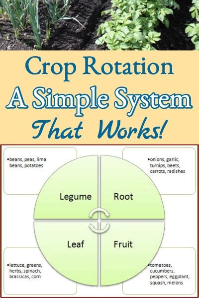 Garden Crop Rotation - A Simple System Better Hens & Gardens