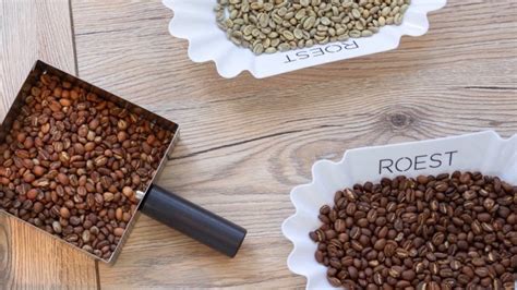 Basics of coffee roasting — ROEST