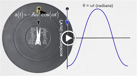 Simple Harmonic Motion Graphs