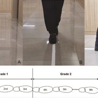 (PDF) Diagnostic usefulness of 10-step tandem gait test for the patient with degenerative ...