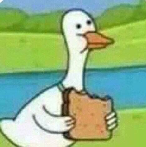 [TOMT] [IMAGE] Photo of an animated duck eating bread : r/tipofmytongue