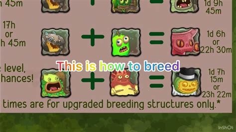 #msm how to breed epic punkleton for limited time event in msm - YouTube