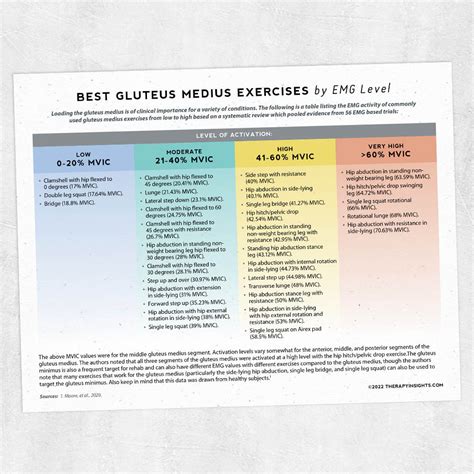 Best Gluteus Medius Exercises by EMG Level – Adult and pediatric ...