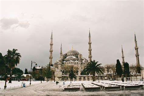 Winter in Istanbul - purple TRAVEL